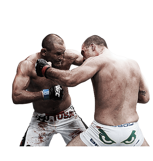 UFC अप्रतिबंधित मिश्रित लड़ाई