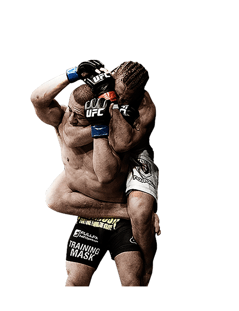 UFC Sınırsız Karma Dövüş
