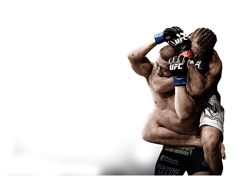 UFC अप्रतिबंधित मिश्रित लड़ाई