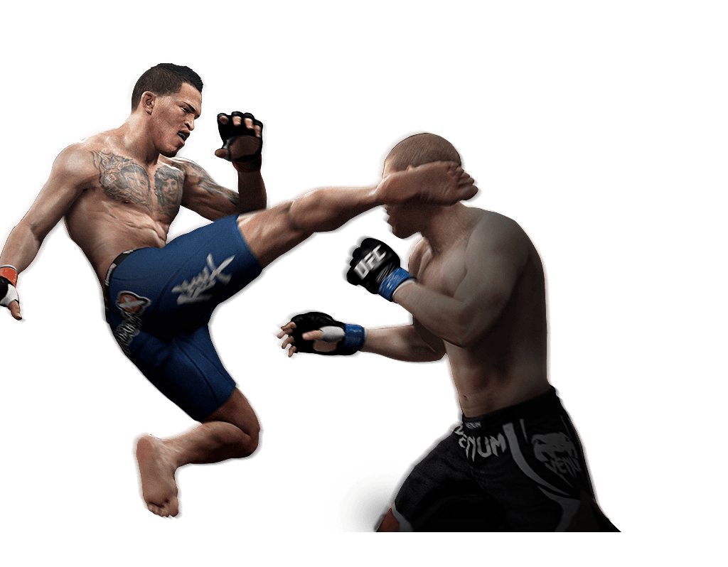 Combats mixtes sans restriction UFC