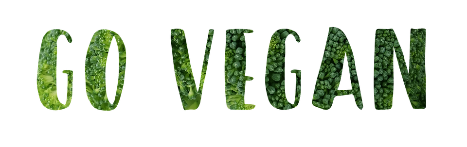 Ikona wegetariańska