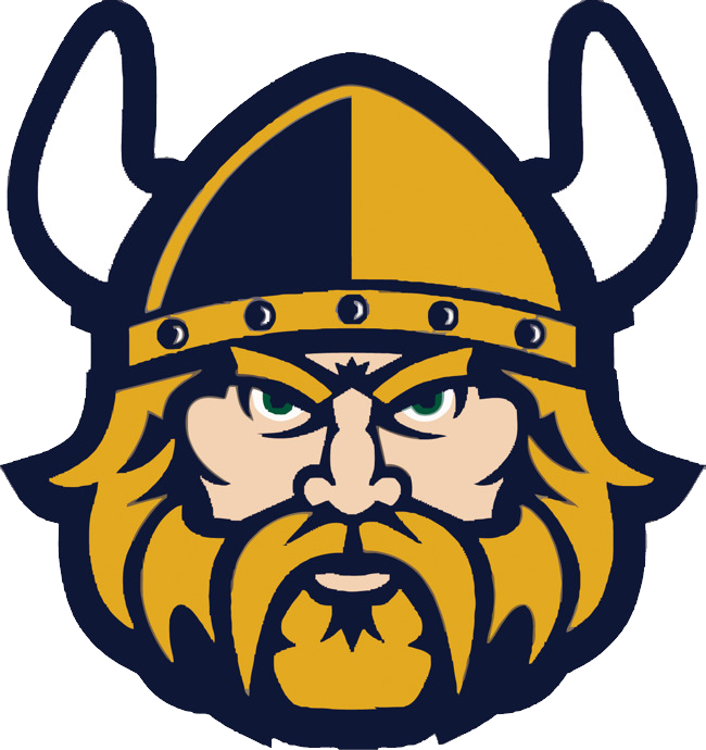 Viking logosu