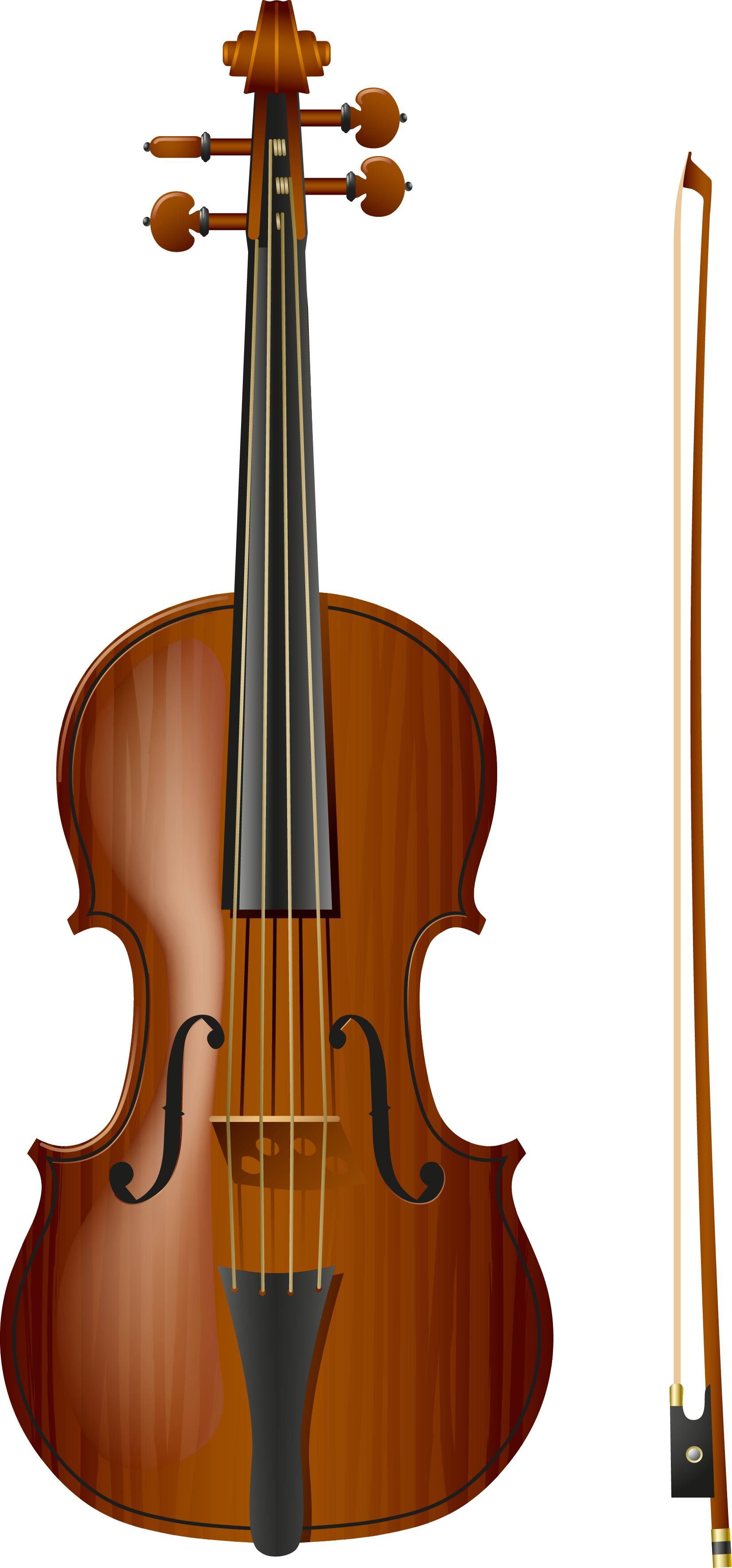 Violin và cung