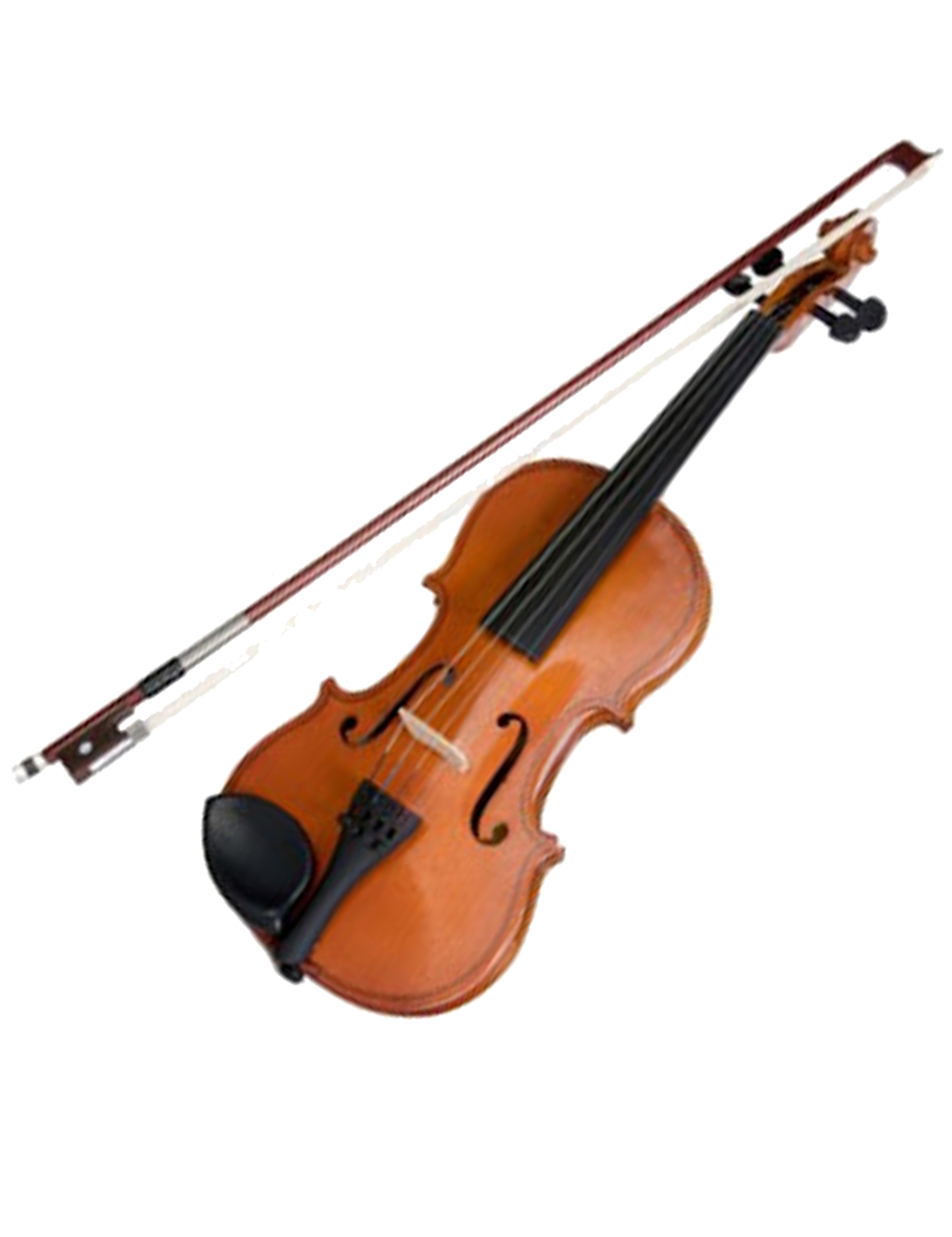 ヴァイオリンと弓、楽器