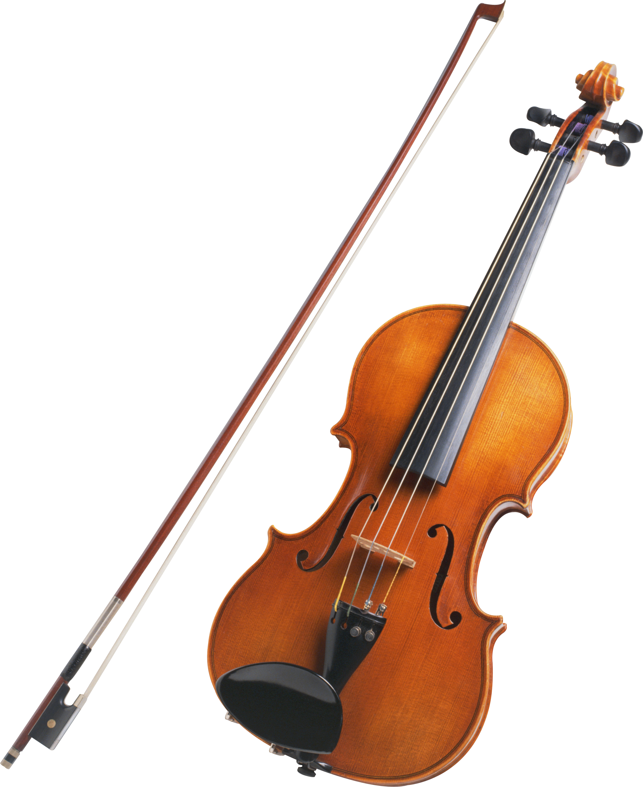 바이올린, 악기