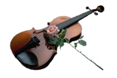 ヴァイオリン、楽器