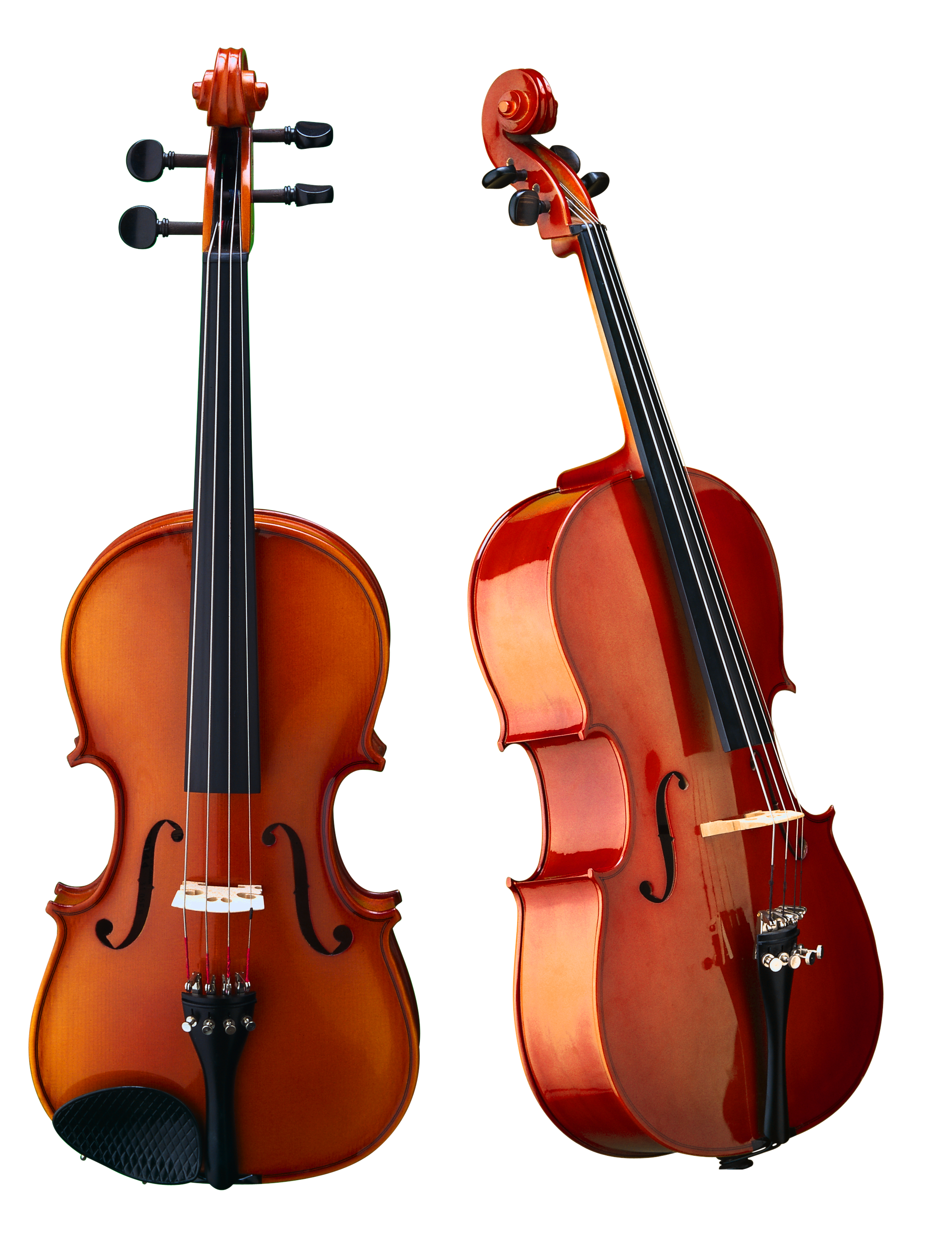 Violin, nhạc cụ