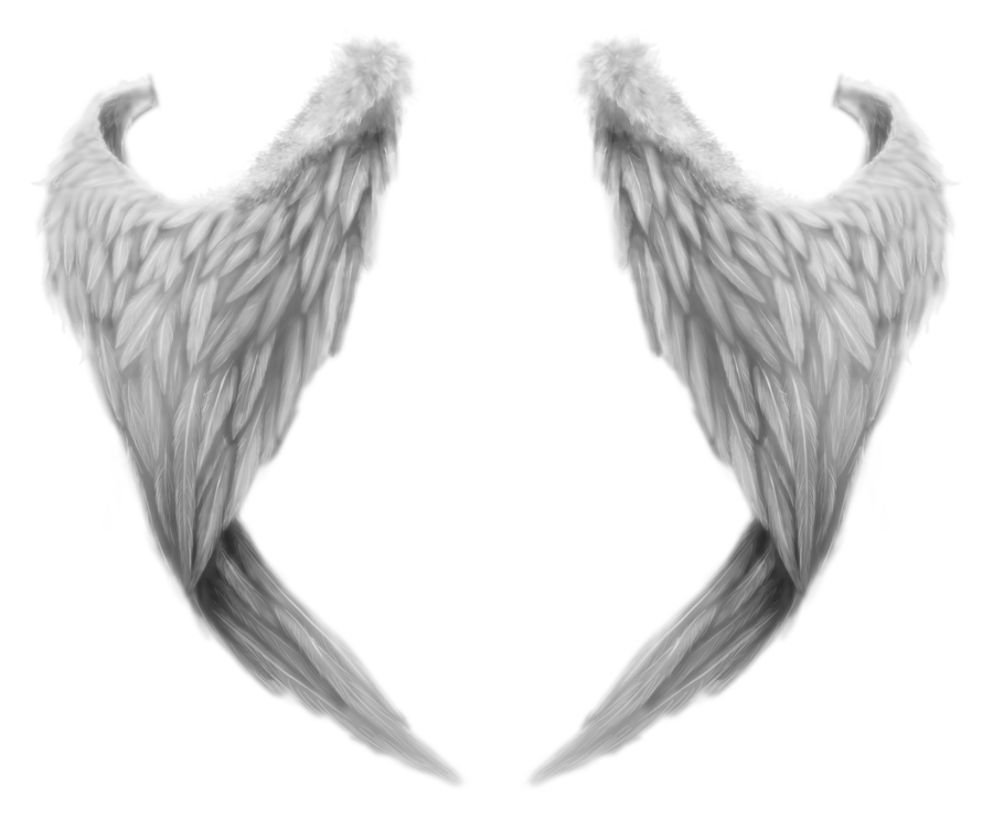 Weiße Flügel