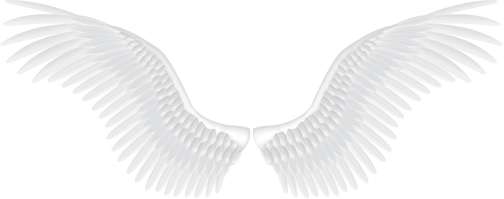 白い天使の羽