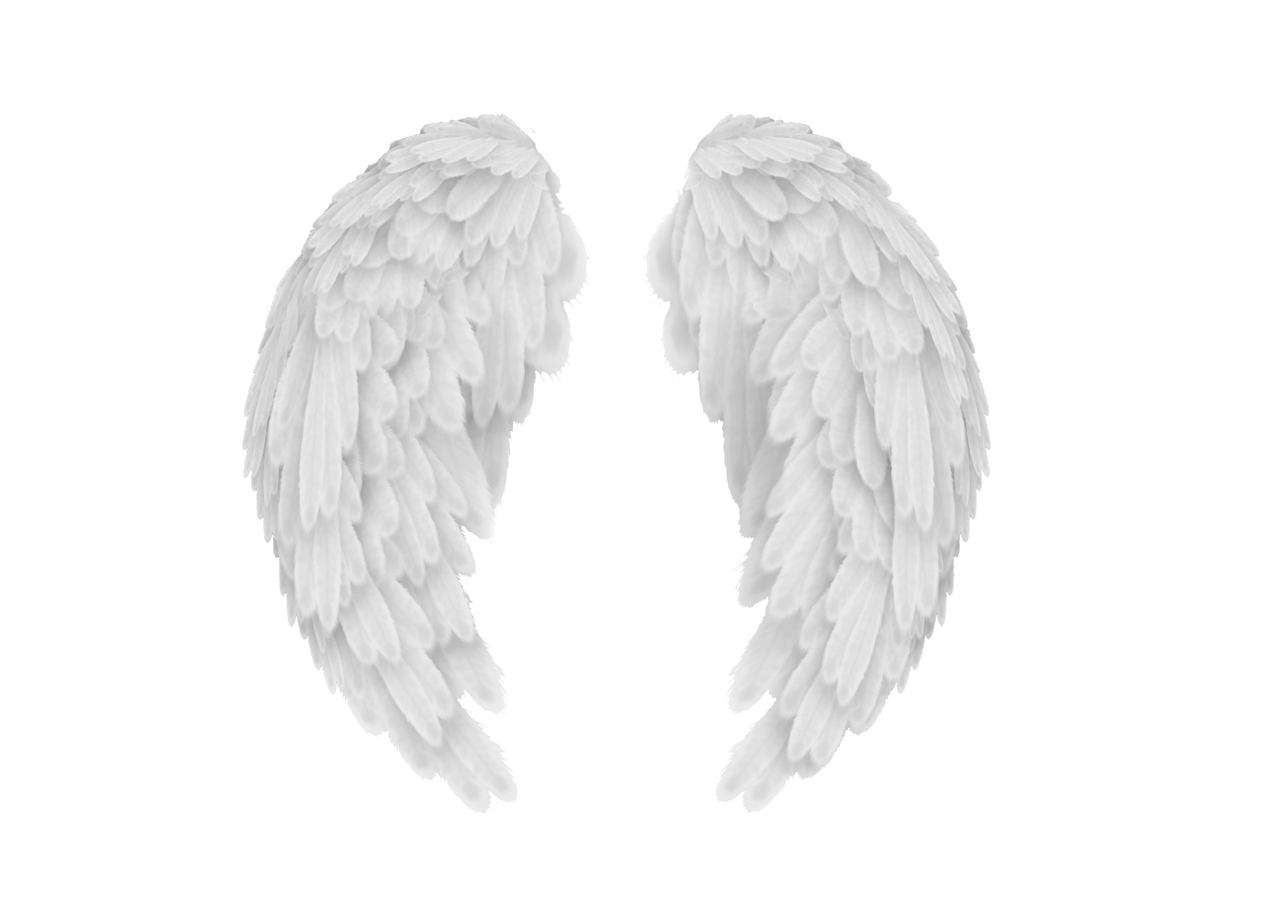 Asas de anjo branco
