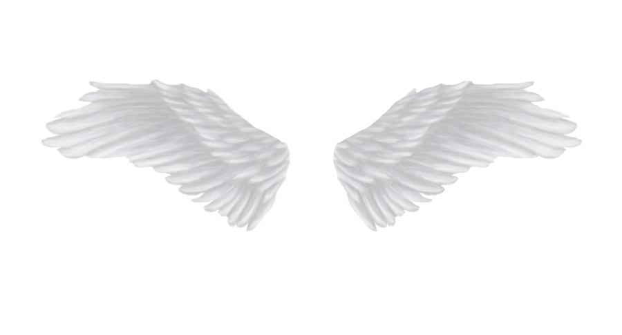 Białe skrzydła anioła