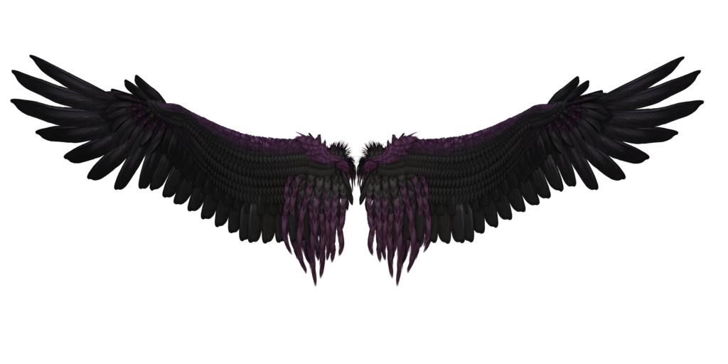 Schwarze Flügel