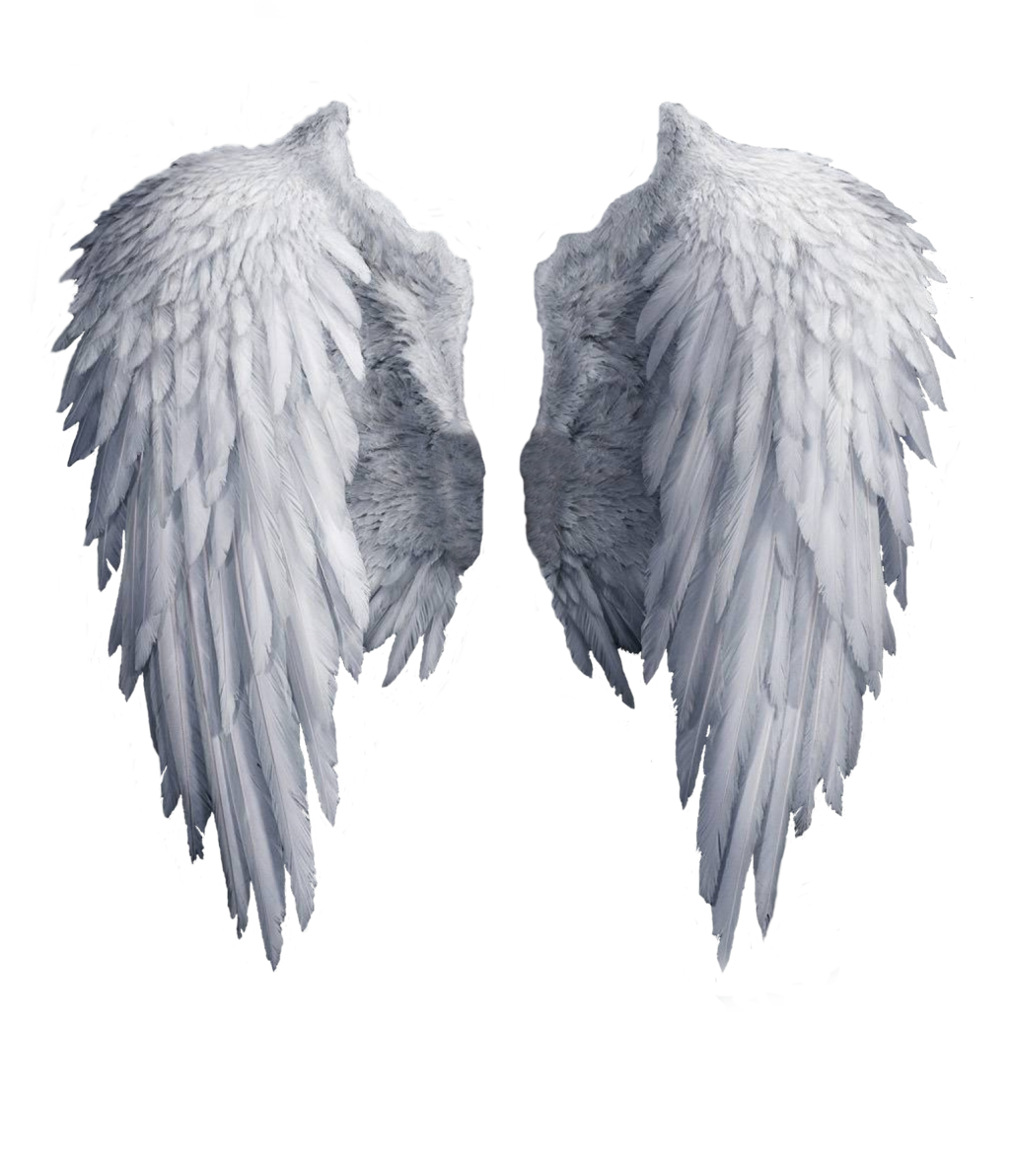 하얀 천사 날개