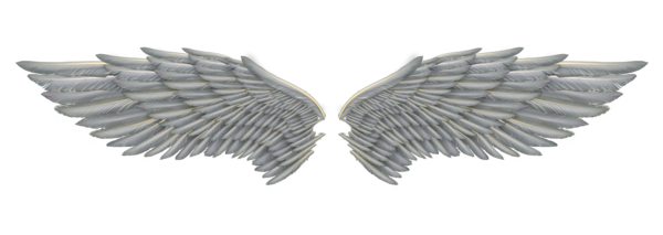 날개