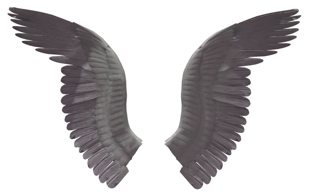 날개