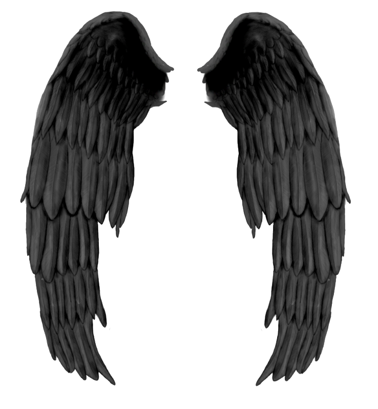 Schwarze böse Flügel