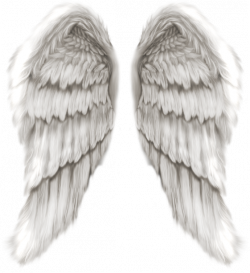 하얀 천사 날개