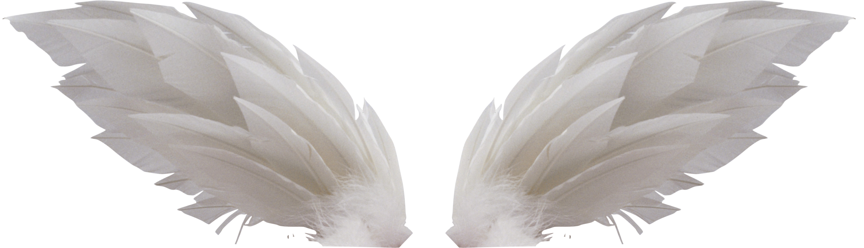 Weiße Flügel