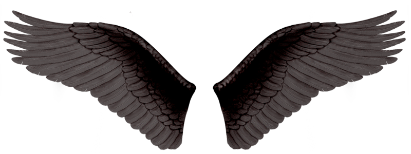 黒い邪悪な翼