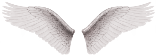 Beyaz melek kanatları