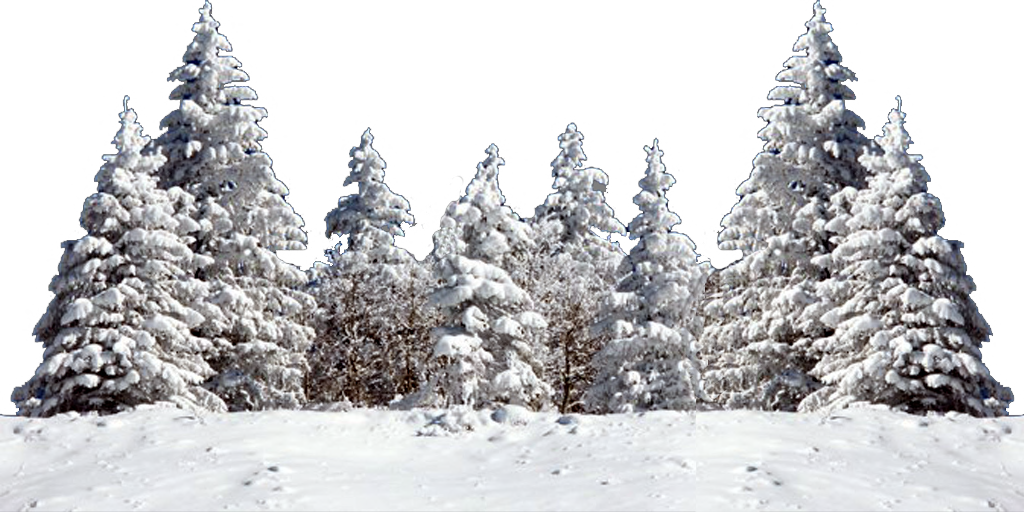 Forêt d'hiver